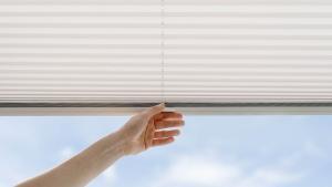 window shade